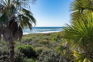 Beach - SALE~"50 Sea Turtle"~Dog Friendly~Gulf Views~Gated Gulf Front SD~Beach Gear (Santa Rosa Beach)