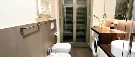 Shower, hair dryer, bidet, towels