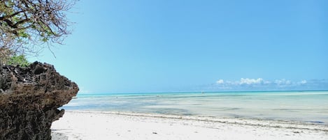 Ubicación cercana a la playa y toallas de playa