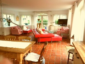 Télévision, cheminée, lecteur de DVD, livres