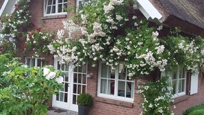 Une maison en briques avec un toit de chaume, des fenêtres à cadre blanc et des fleurs blanches grimpantes.