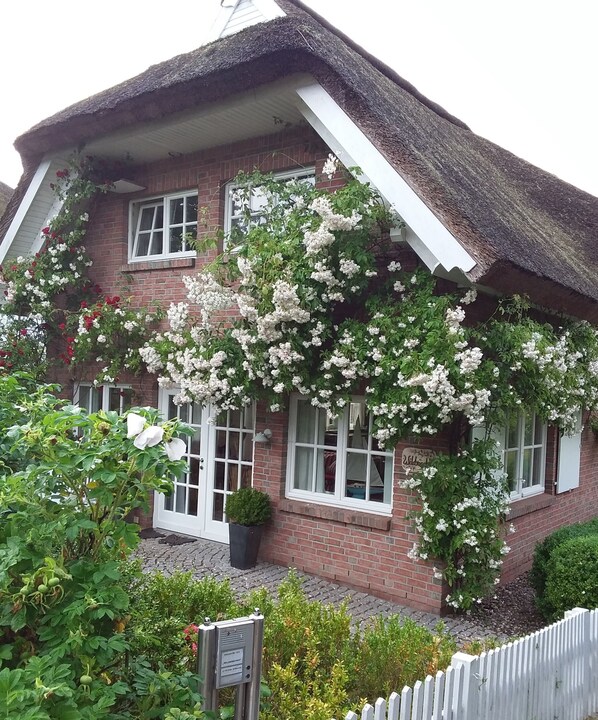 A brick house with a thatched roof, white-framed windows, and climbing white flowers.