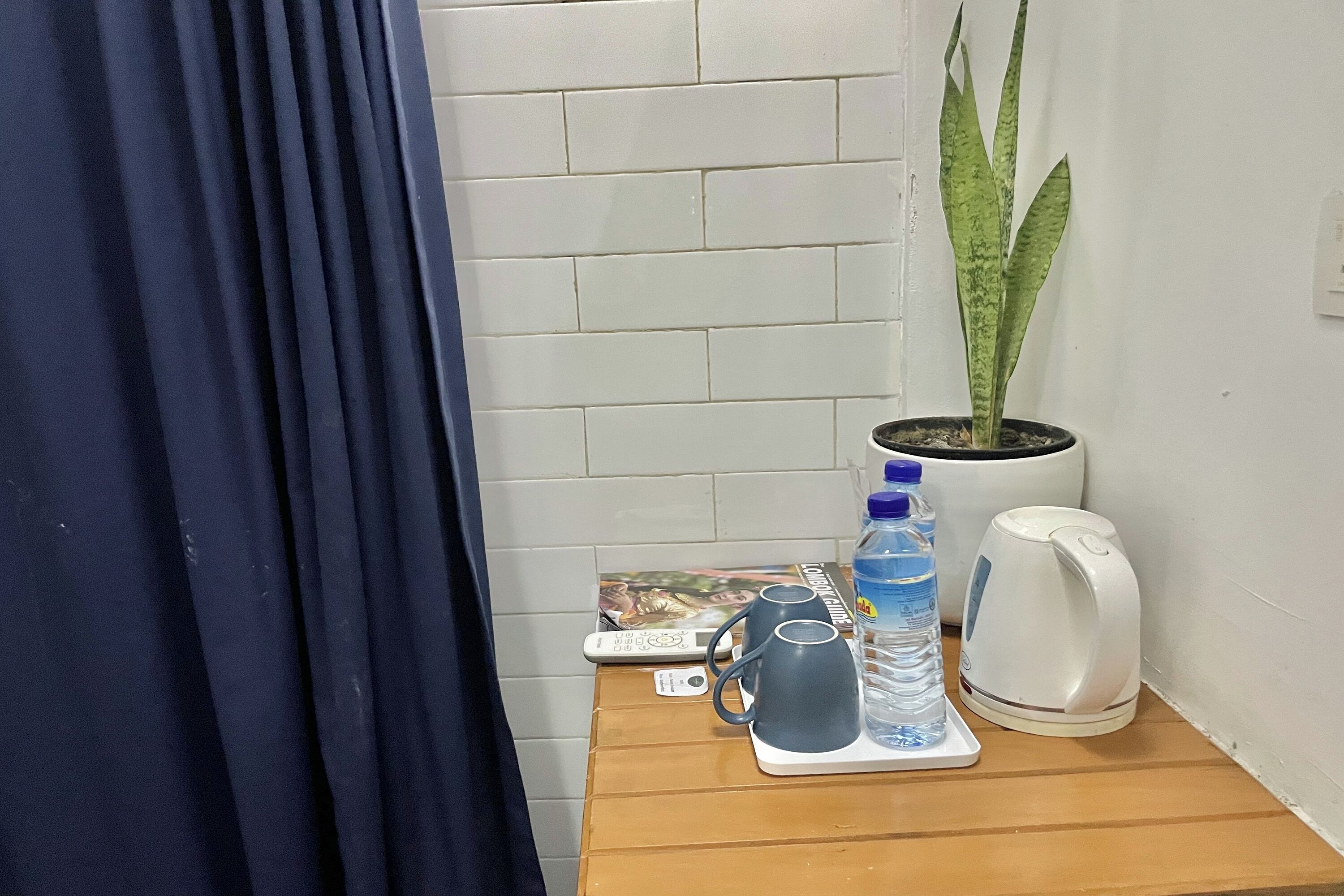 A small table with a potted plant, a water bottle, a kettle, and a remote control.