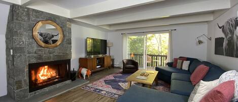 Smart TV, fireplace, books, computer monitors