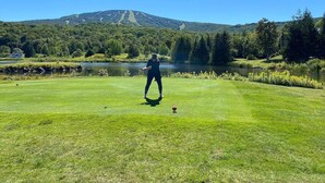 A person playing golf on a well-maintained course with a lake and forested hills in the background.