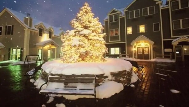 A snow-covered Christmas tree in a courtyard with residential buildings in the background. - Ski-In/Ski-Out at Jiminy Peak  in the Country Inn (Hancock)
