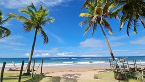 Una spiaggia con palme, una recinzione in legno e un cartello.