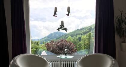 Casa Alma - Luxury apartment with terrace, whirlpool, sauna, fireplace, W-LAN - Whg. C