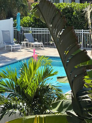 Alberca al aire libre y alberca climatizada