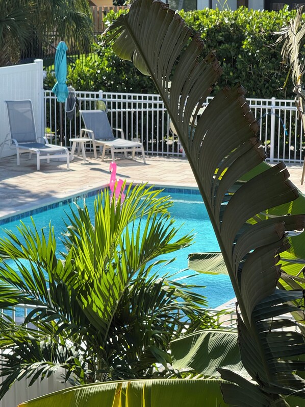 屋外プール、温水プール