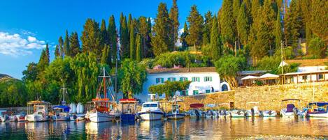 别墅 | 3 多间卧室