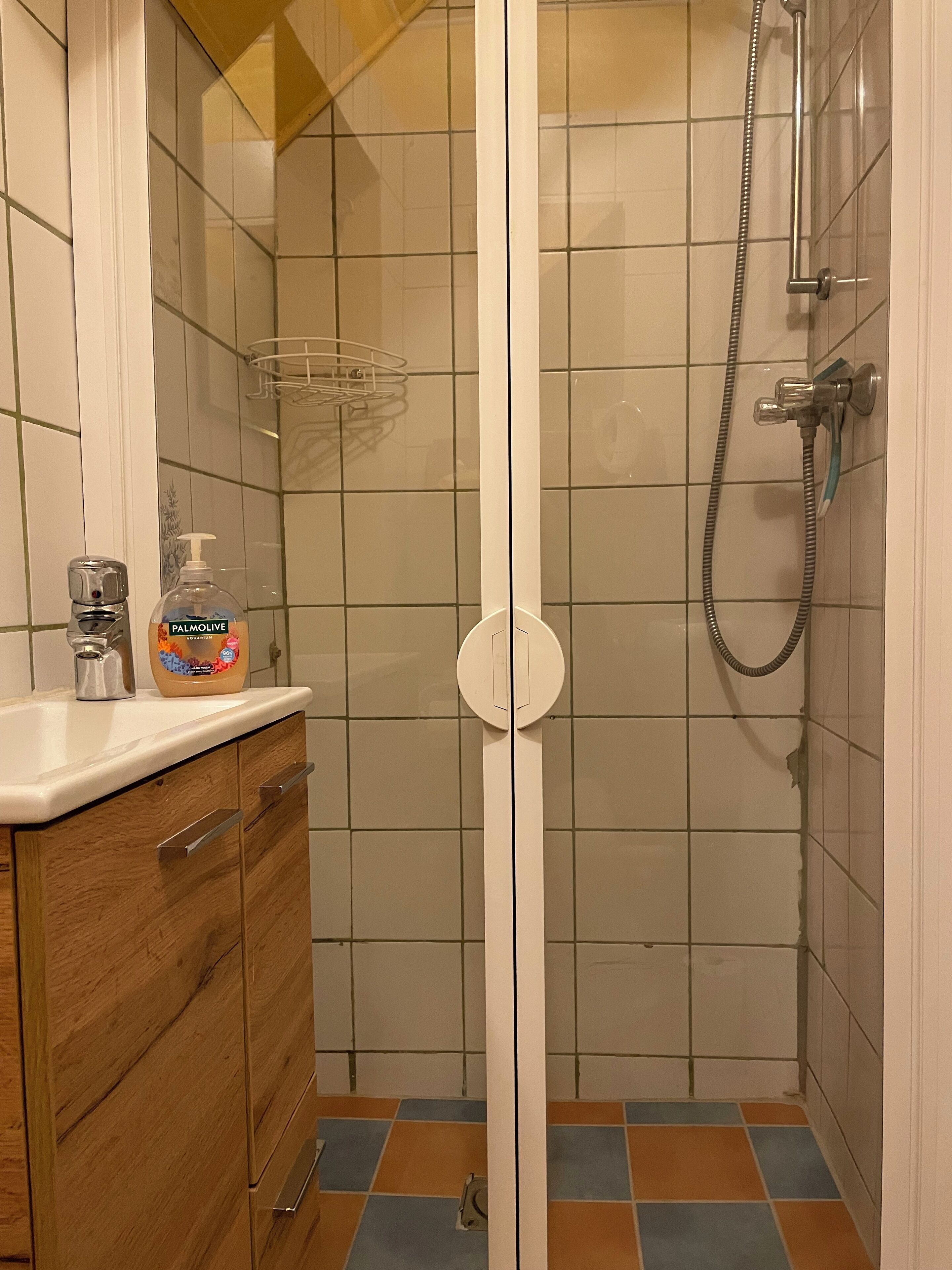 A bathroom with a shower, a toilet, and a sink with a soap dispenser.
