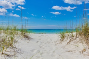 Beach nearby - Contemporary Bungalow / West End PCB / Available Now! / Perfect for Family (Panama City Beach)