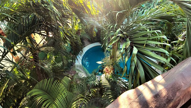 Un jardin intérieur luxuriant, avec une piscine centrale entourée d’une végétation dense.