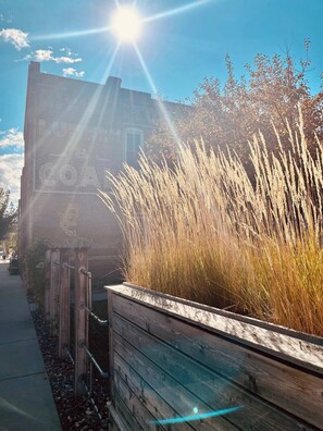 Áreas de la propiedad