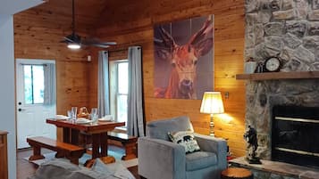 TV, fireplace, DVD player, books