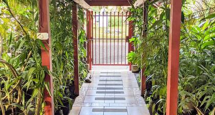 Cozy one-bedroom apartment in Bocas Town