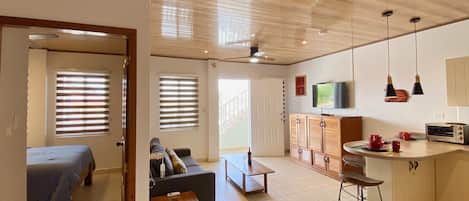 Smart TV, computer monitors