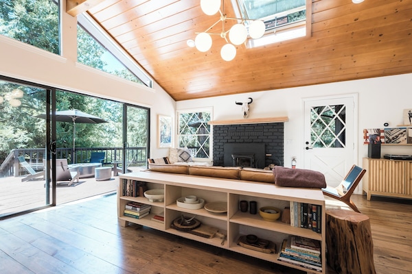 Peis, bøker, musikkbibliotek og stereoanlegg