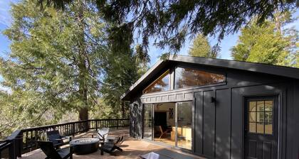 Mountain mod cabin w/ EV charging - Fernwood