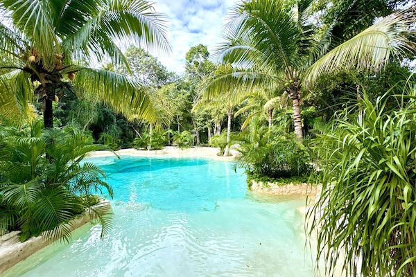 Outdoor pool, pool umbrellas, sun loungers