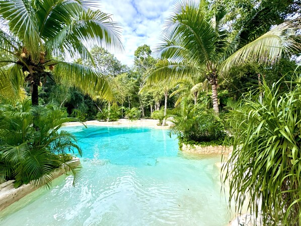 Outdoor pool, pool umbrellas, pool loungers - Glamping Bunga Lotus (Tulum)