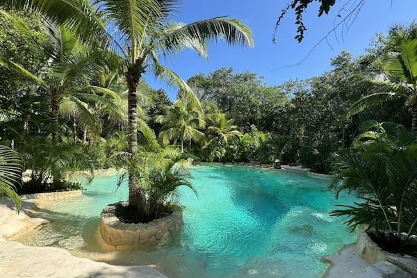 Una piscina al aire libre, sombrillas, sillones reclinables de piscina