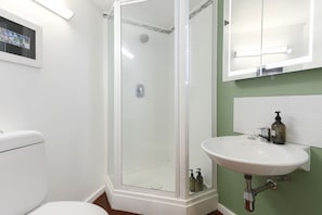 A bathroom with a glass-enclosed shower, a white sink with a mirror above it, and a toilet. - Contemporary and fun styled studio loft (Auckland)