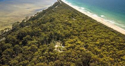 Three Little Pigs Escape - Main House + Cabin