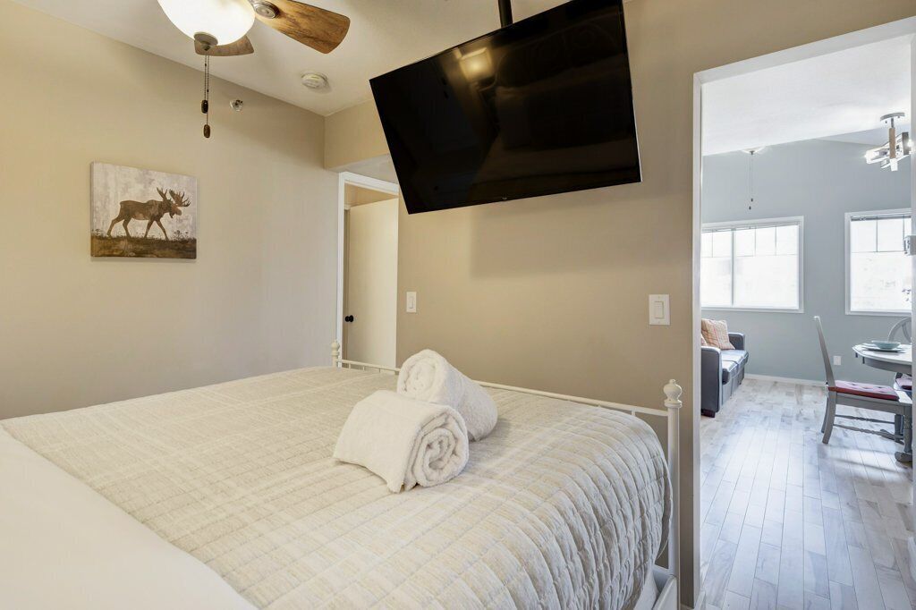 Ferro/asse da stiro, Wi-Fi, lenzuola