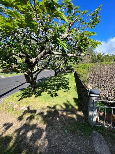 Great location! 5mins to “3 Sisters” & “Grand Cliff Top Walk”