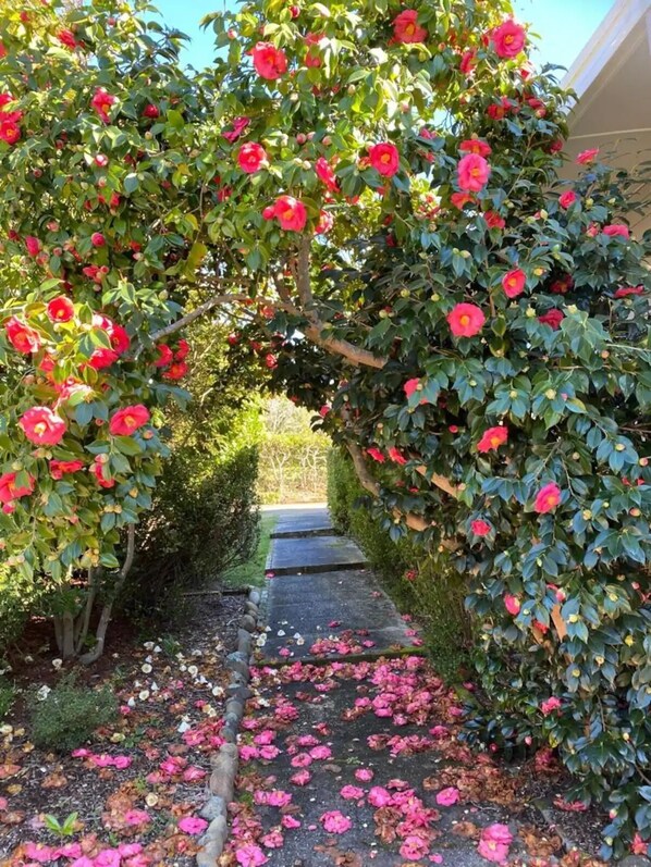 Property grounds - Great location! 5mins to “3 Sisters” & “Grand Cliff Top Walk” (Katoomba)