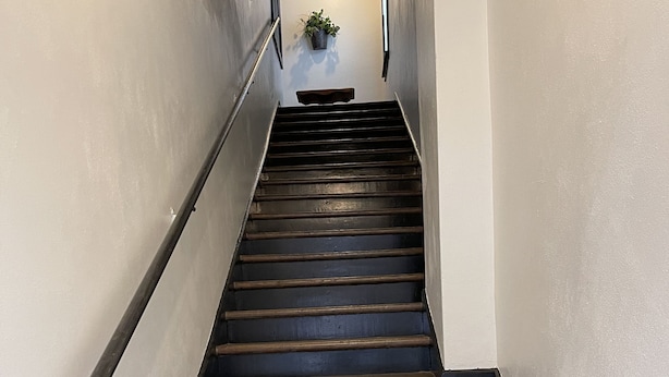 A staircase with wooden steps and metal handrails, leading to a landing with a potted plant.