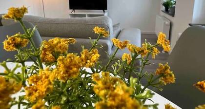 Apartment "schwan 5" mit 55qm - Zentral - Innenstadt - mit Balkon