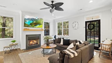 TV connectée, cheminée, livres