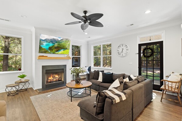 Smart TV, fireplace, books