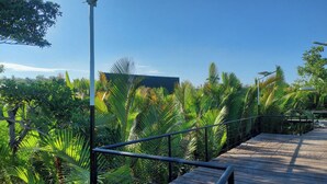 A wooden boardwalk surrounded by lush tropical vegetation. - Alcoy Plaza Eco Park Cebu (Alcoy)