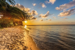 Beach nearby - Akai Palms! North Shore Oasis for Family Getaways, Near Hanalei Bay & Pristine Beaches! (Princeville)