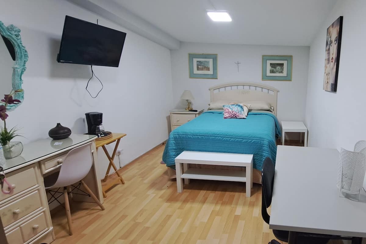 A bedroom with a bed, bedside table, lamp, TV, desk, chair, and a small table with a plant.