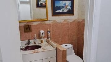 Regadera, regadera tipo lluvia, amenidades de baño gratuitas, jabón