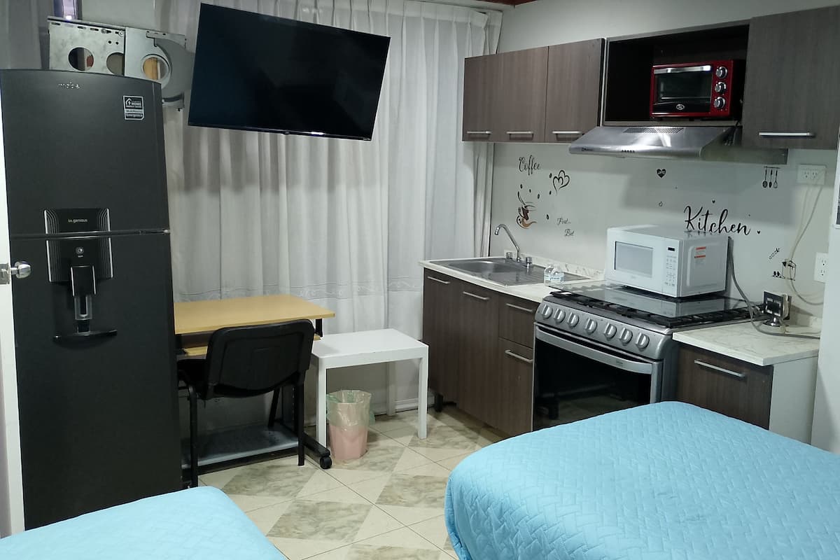 Exclusive Room (Habitacion no. 8) | Private kitchen | Cleaning supplies