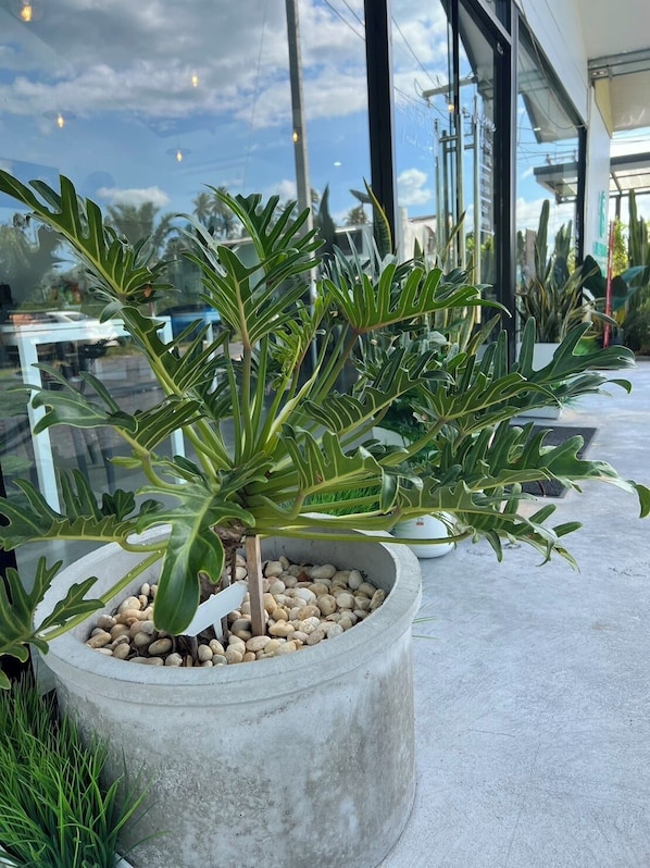 Café - Blue Moon Boutique Resort (Sichon)