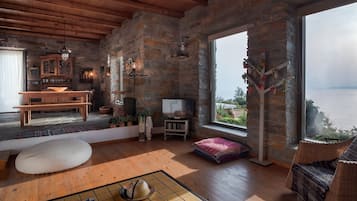 TV connectée, cheminée, livres
