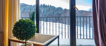 Apartment with amazing view on Didveli