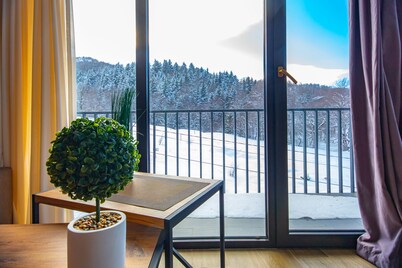 Apartment with amazing view on Didveli