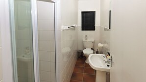 Casa de banho com cabine de chuveiro em vidro, sanita e lavatório.