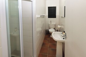 A bathroom with a glass shower enclosure, a toilet, and a sink.