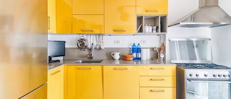 Fridge, oven, stovetop, dishwasher