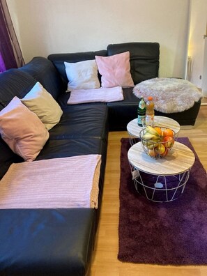TV, books, video library - TOLL condominium on the Rhine for up to 5 people (Duisburg)