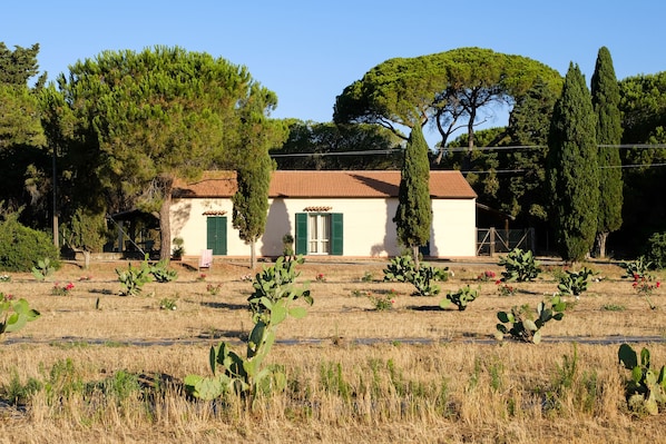 Exterior - La Canova 2 few min From sea (Grosseto)